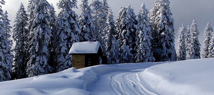 Günübirlik Ilgaz Turu