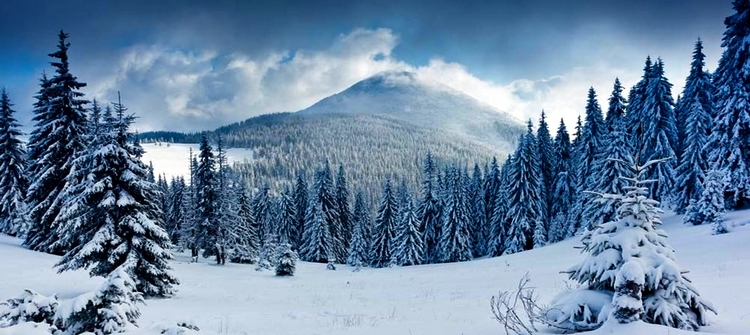 Günübirlik Ilgaz Turu
