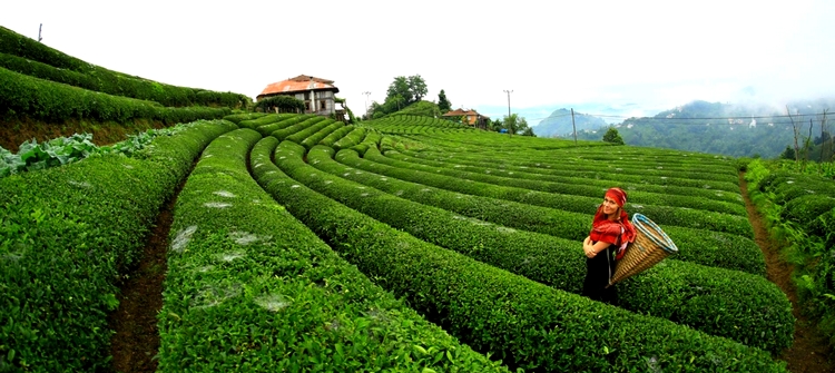 Konaklamalı Karadeniz Turu