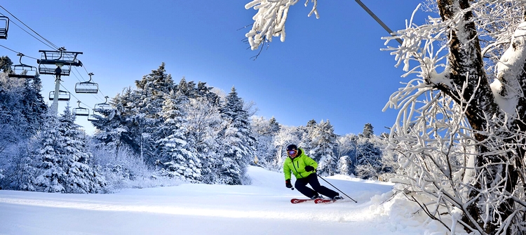 Günübirlik Ilgaz Turu
